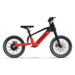 Draisienne électrique 36V 500W DX 18&Prime;