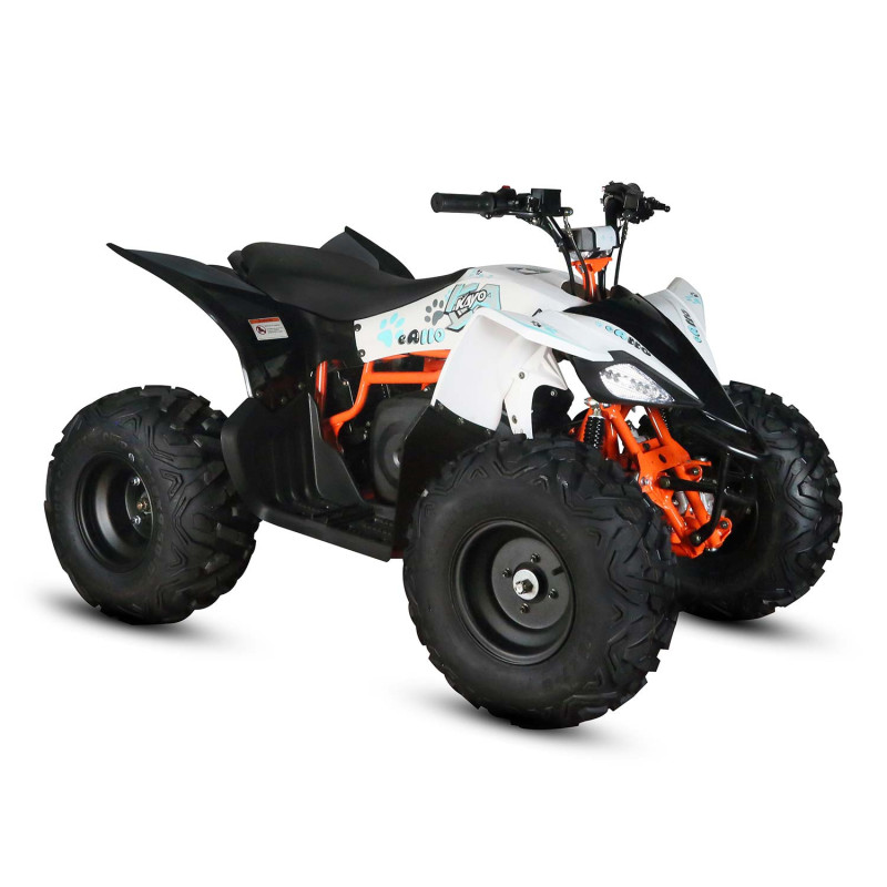 Quads électriques enfants