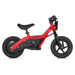 Draisienne électrique 24V 100W DX 12